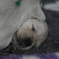 vrh_b6.JPG